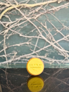 Add Ons 1: You Are My Sunshine Cookie