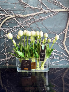 Gifts: Côte Noire Oval White Tulips