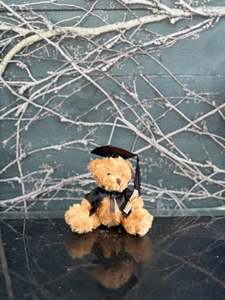 Graduation Bear Large
