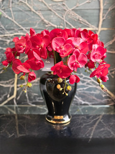 Côte Noire Imperial Orchid - Scarlet