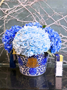 Gifts: Côte Noire Oriental Hydrangeas - Blue