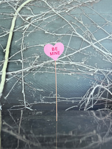 Add Ons 1: Be Mine Heart Pick