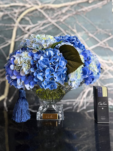 Côte Noire - Bordeaux Collection Blue Hydrangea
