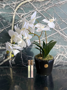 Côte Noire - Double Orchid White Piano Black