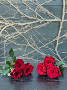 Half Dozen Roses Wrapped