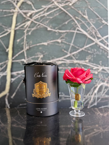 Côte Noire - Charente Rose White Peach in Black Hat Box