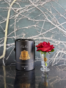 Cote Noire 1: Côte Noire - Charente Rose Carmine Red in Black Hat Box