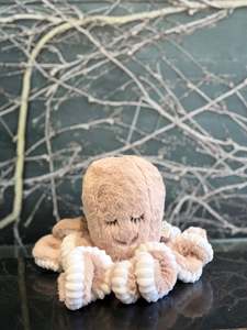 Tilly the Octopus