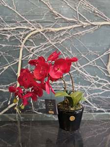 Gifts: Côte Noire - Double Orchid Scarlet Piano Black