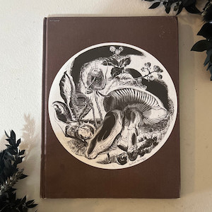 1973 All Colour Book of Mushrooms & Fungi Hardcover Book The Witchery NZ