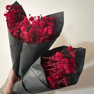 Preserved Red Gypsophila (Babies Breath) The Witchery NZ