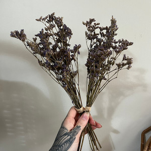 Products: Dried Purple Limonium The Witchery NZ
