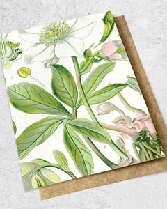 VINTAGE BOTANICAL HELLEBORE - GREETING CARD