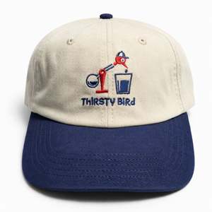 Hats: OG Canvas Suede