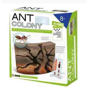 Interactive Toys: Jeanny Create Your Own Ant Colony