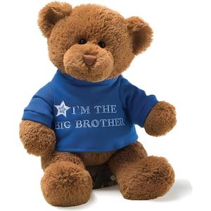 Gift Ideas Between $20 - $50: Gund Soft Toy - Big Brother
