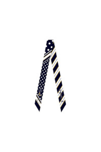 Womens Scarves Gloves: The Amalfi Silk Twilly