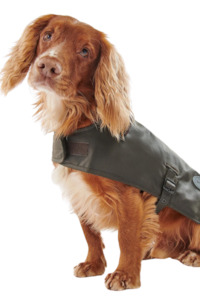 Living Pet Accessories: Wax Dog Coat