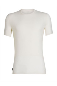 Icebreaker: Mens Anatomica Crewe Tee - White