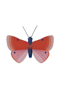 Living Art Mirrors: Wall Art Butterflies - Speckled Copper Butterfly
