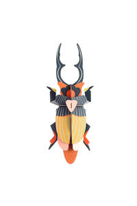 Homewares: Wall Art Beetles - Stag Beetle