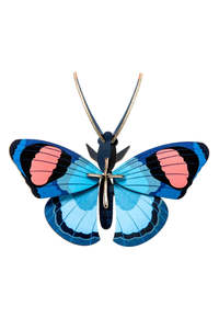 Homewares: Wall Art Butterflies - Peacock Butterfly