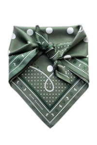 The Evelyn Petite Silk Scarf