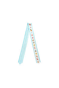 The DH x Cass Deller Hastings Street Silk Twilly