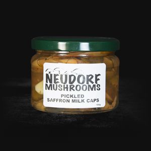 Neudorf Mushrooms – Saffron Milk Caps