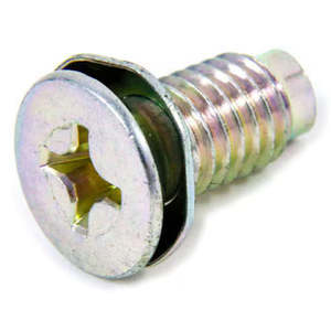 Nissan Door Striker Bolt