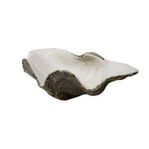 Resin Clam Shell