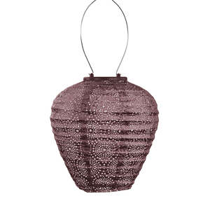 Lantern Balloon 20cm - Plum Occult