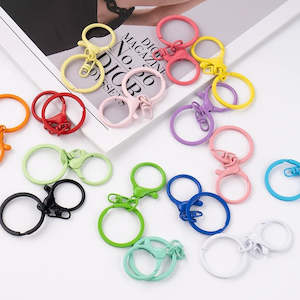 Colourful Lobster Clasp Keychain (11 Colours)