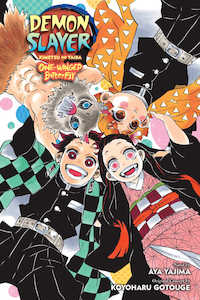 Demon Slayer: Demon Slayer Kimetsu No Yaiba One-Winged Butterfly Graphic Novel - US Import