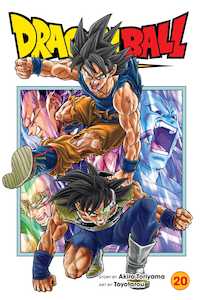 Dragon Ball Super: Dragon Ball Super, Vol. 20