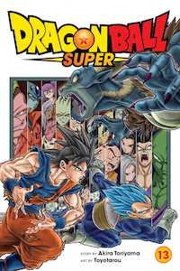 Dragon Ball Super: Dragon Ball Super, Vol. 13