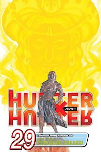 Hunter X Hunter: Hunter x Hunter, Vol. 29