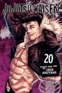 Jujutsu Kaisen, Vol. 20