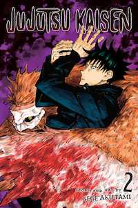 Jujutsu Kaisen: Jujutsu Kaisen, Vol. 02