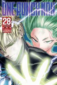 One Punch Man: One-Punch Man, Vol. 28