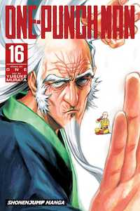 One Punch Man: One-Punch Man, Vol. 16