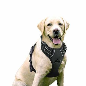 Rabbitgoo Dog Harness, No-Pull Pet Harness with (2 Leash Clips), Adjustable Soft&hellip;