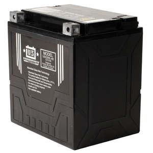 USPS AGM BATTERY USX30HL-HD YIX30L-BS
