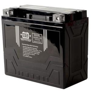 USPS AGM BATTERY US20HL-HD YTX20L-BS