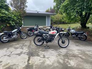 Bikes For Sale: XT500 D