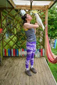 All: Long Tights Ocean