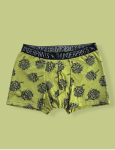 Pouch Boxer Artichokes