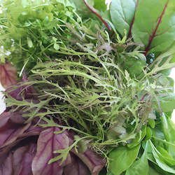 Garnishes: Gourmet Garnish