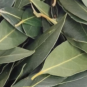 Bay Leaves