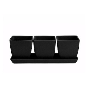 Waikato - 26cm Biodegradable plant pots